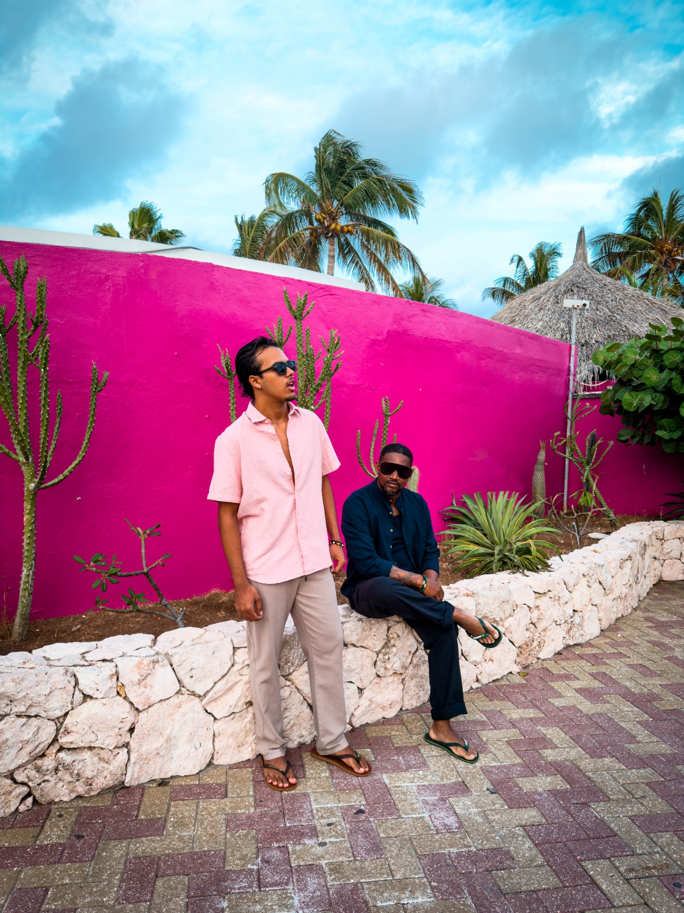 BRO Men's Fashion — pink wall and cactus